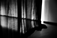 20_000000040009.jpg