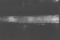 29_0000152.jpg