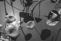 31_000020-5.jpg