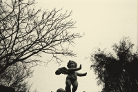 5_r001-010-4_v2.jpg